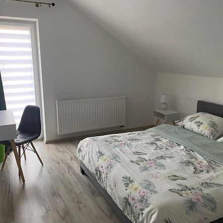 Dwikozy Apartamenty - Pod Wierzbami מראה חיצוני תמונה