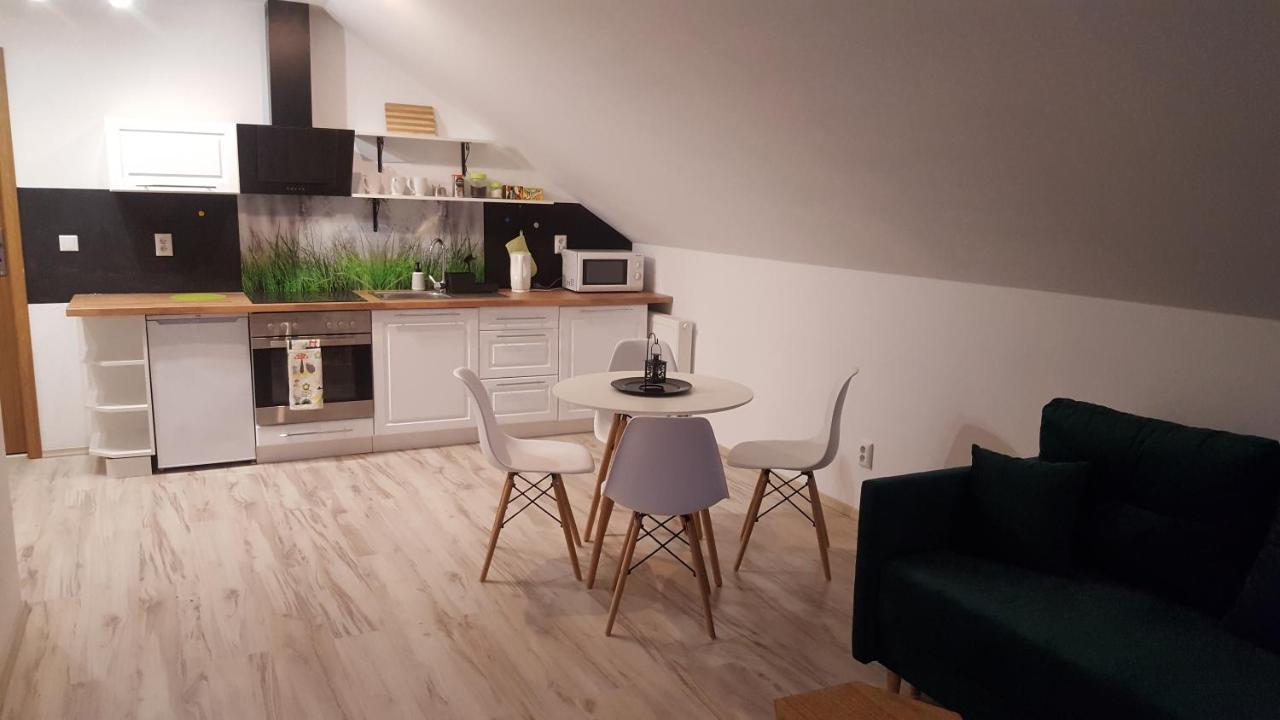 Dwikozy Apartamenty - Pod Wierzbami מראה חיצוני תמונה