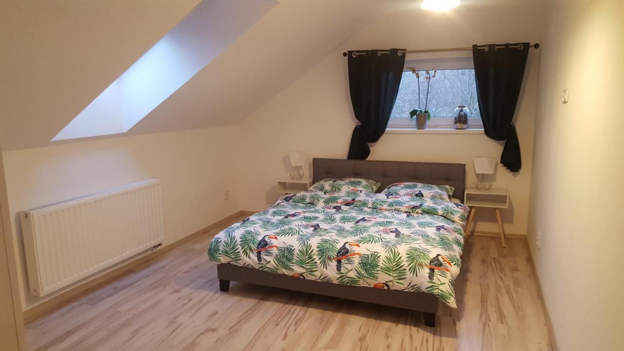 Dwikozy Apartamenty - Pod Wierzbami מראה חיצוני תמונה