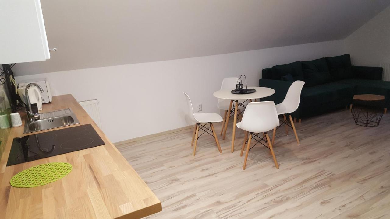 Dwikozy Apartamenty - Pod Wierzbami מראה חיצוני תמונה