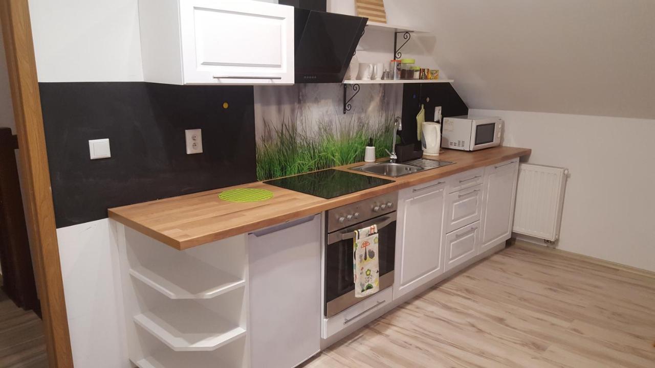 Dwikozy Apartamenty - Pod Wierzbami מראה חיצוני תמונה