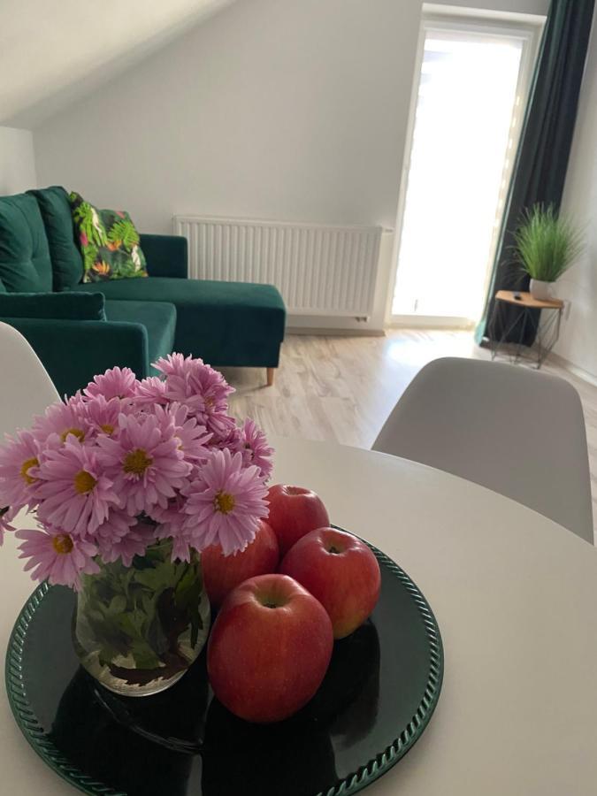 Dwikozy Apartamenty - Pod Wierzbami מראה חיצוני תמונה