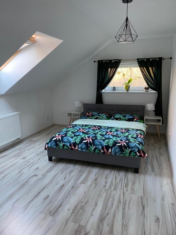 Dwikozy Apartamenty - Pod Wierzbami מראה חיצוני תמונה
