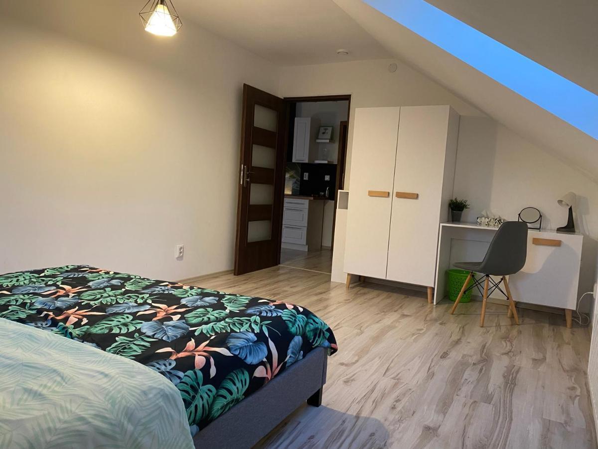 Dwikozy Apartamenty - Pod Wierzbami מראה חיצוני תמונה